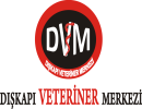Dvm